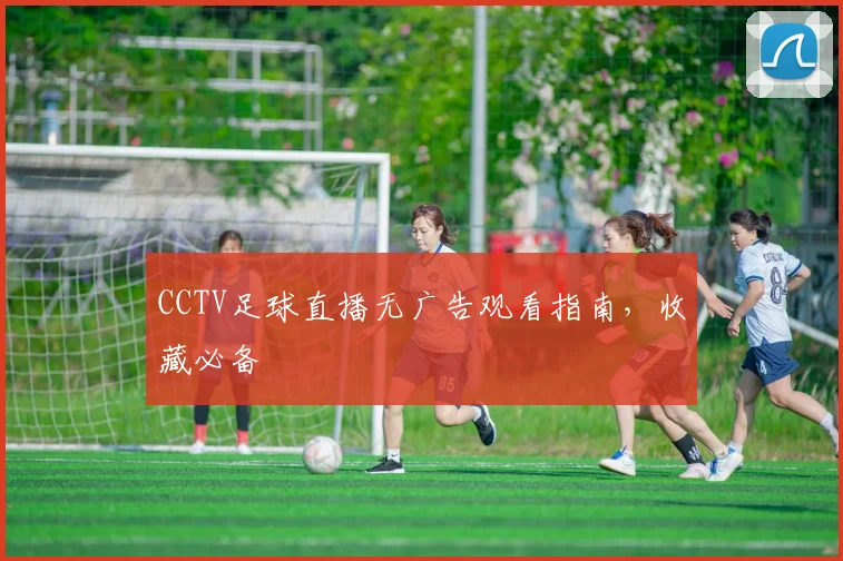 CCTV足球直播无广告观看指南,收藏必备