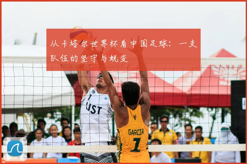 从卡塔尔世界杯看中国足球：一支队伍的坚守与蜕变