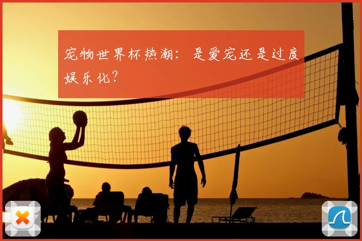 宠物世界杯热潮：是爱宠还是过度娱乐化？