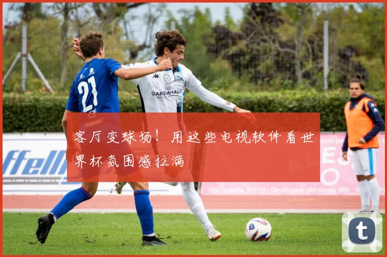 客厅变球场！用这些电视软件看世界杯氛围感拉满