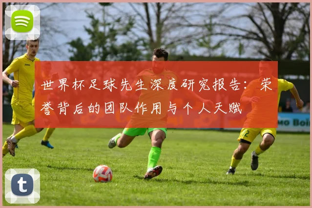 世界杯足球先生深度研究报告：荣誉背后的团队作用与个人天赋