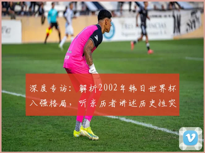 深度专访：解析2002年韩日世界杯八强格局，听亲历者讲述历史性突破