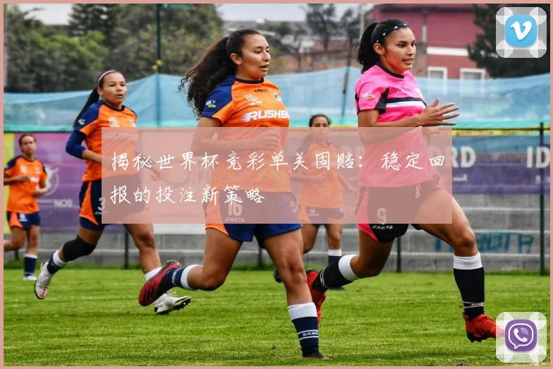 揭秘世界杯竞彩单关固赔：稳定回报的投注新策略