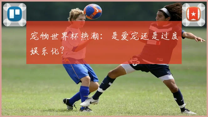 宠物世界杯热潮:是爱宠还是过度娱乐化?
