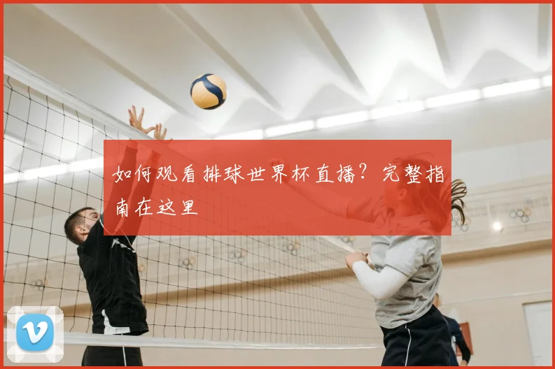 如何观看排球世界杯直播？完整指南在这里