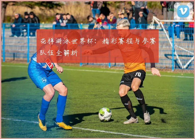 花样游泳世界杯:精彩赛程与参赛队伍全解析