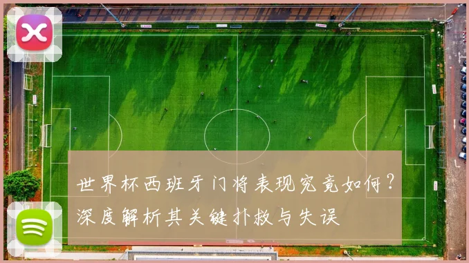 世界杯西班牙门将表现究竟如何？深度解析其关键扑救与失误